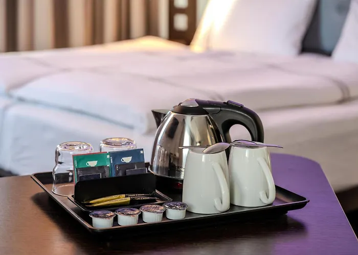 Premier Airport Hotel 3*